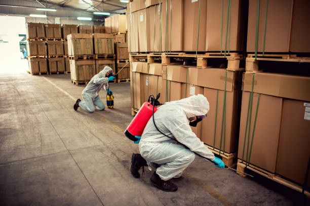 Best Local Pest Control Services  in White City, FL