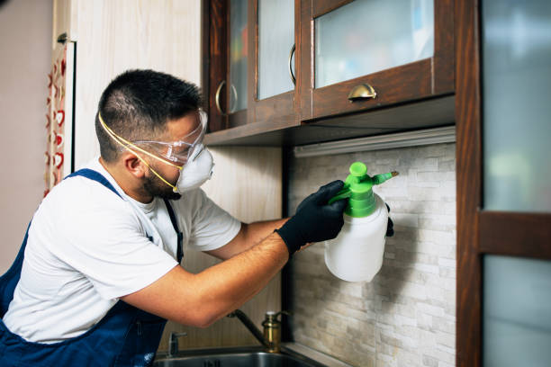 Best Mosquito Control Services  in White City, FL