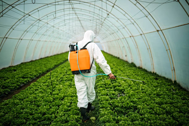 Pest Control for Restaurants in White City, FL