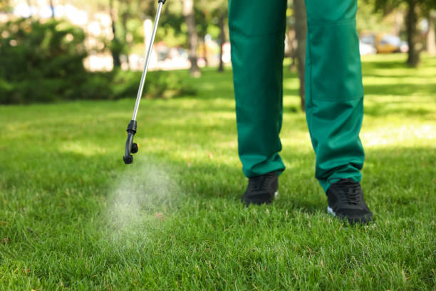 Best Emergency Pest Control  in White City, FL