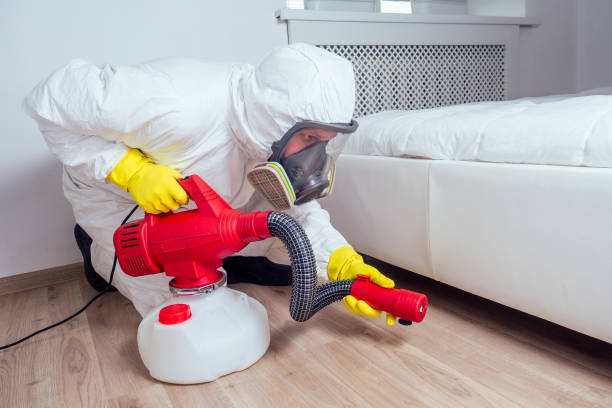 Best Flea Control Services  in White City, FL