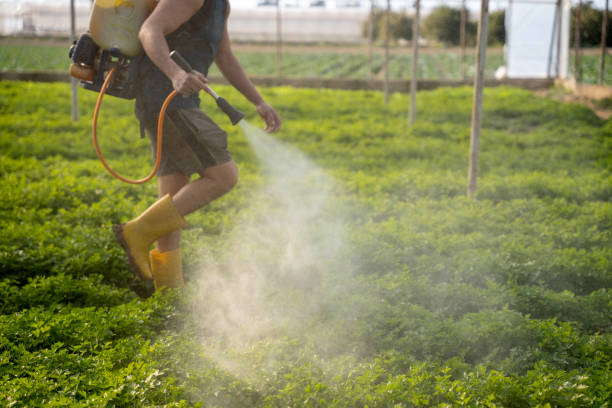 Best Affordable Pest Control Services  in White City, FL