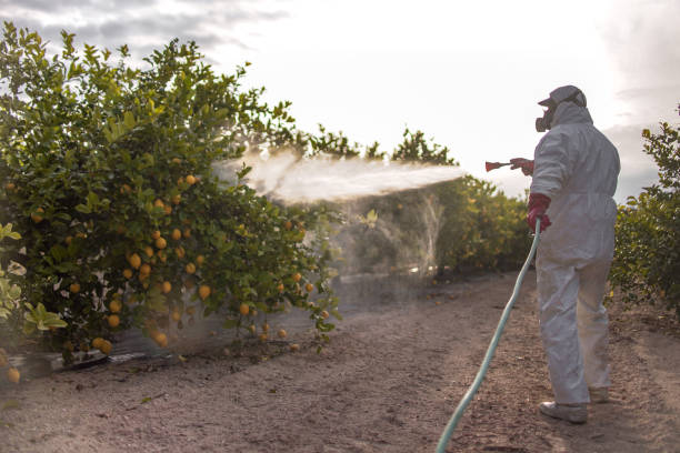 White City, FL Pest Control Company