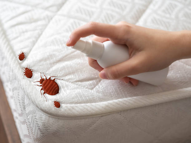 Best Affordable Pest Control Services  in White City, FL