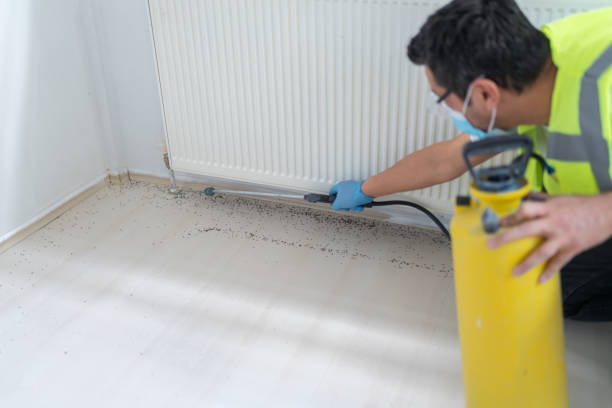 Best Pest Control Near Me in White City, FL